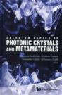 Selected Topics In Photonic Crystals And Metamaterials - Preview