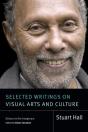 Selected Writings On Visual Arts And Culture - Preview