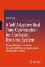 Self Adaptive Real Time Optimization For Stochastic Dynamic System - Preview