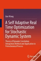 Self Adaptive Real Time Optimization For Stochastic Dynamic System