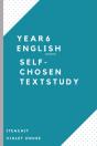Self-Chosen Text Study - Preview