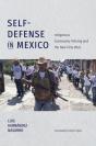 Self-Defense In Mexico - Preview