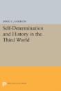 Self-Determination And History In The Third World - Preview
