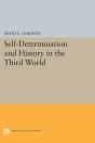 Self-Determination And History In The Third World - Preview