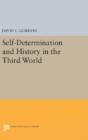 Self-Determination And History In The Third World - Preview