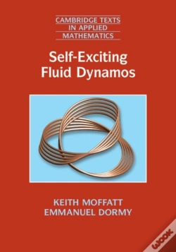 Capa do artigo Self-Exciting Fluid Dynamos