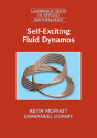 Self-Exciting Fluid Dynamos - Preview