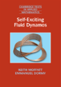 Self-Exciting Fluid Dynamos - Preview