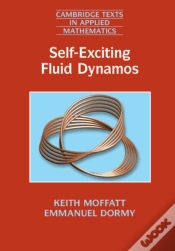 Capa do artigo Self-Exciting Fluid Dynamos