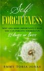 Self Forgiveness - Preview