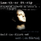 Capa do artigo Self Inflicted - Vinil