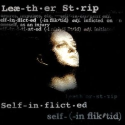 Capa do artigo Self Inflicted - Vinil