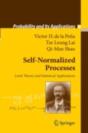 Self-Normalized Processes - Preview