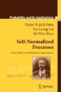 Self-Normalized Processes - Preview
