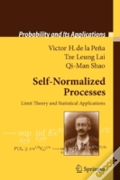 Self-Normalized Processes