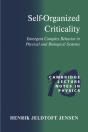 Self-Organized Criticality - Preview