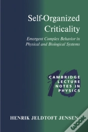 Capa do artigo Self-Organized Criticality