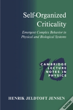 Capa do artigo Self-Organized Criticality