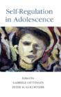 Self-Regulation In Adolescence - Preview