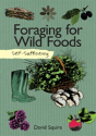 Self-Sufficiency: Foraging For Wild Foods - Preview