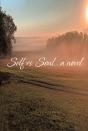 Self Vs Soul... - Preview