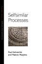 Selfsimilar Processes - Preview