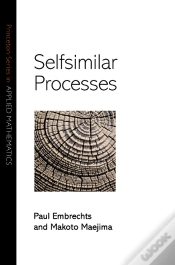 Capa do artigo Selfsimilar Processes