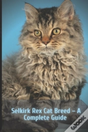 Capa do artigo Selkirk Rex Cat Breed  - A Complete Guide