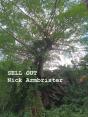 Sell Out - Preview