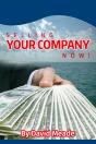 Selling Your Company Now! - Preview