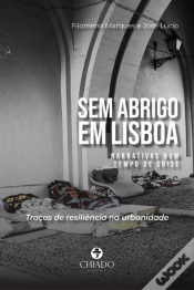 Capa do artigo Sem Abrigo em Lisboa: narrativas num tempo de crise