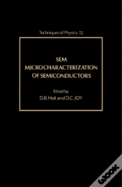Capa do artigo Sem Microcharacterization Of Semiconductors