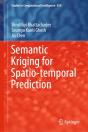 Semantic Kriging For Spatio-Temporal Prediction - Preview