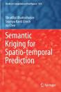 Semantic Kriging For Spatio-Temporal Prediction - Preview