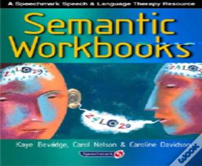 Semantic Workbooks