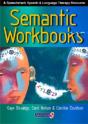 Semantic Workbooks - Preview
