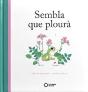 Sembla Que Ploura - Preview