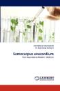 Semecarpus Anacardium - Preview