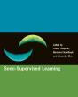 Semi-Supervised Learning - Preview