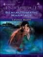 Semiautomatic Marriage - Preview
