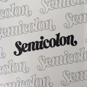 Capa do artigo ;[Semicolon] - CD