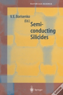 Capa do artigo Semiconducting Silicides