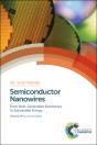 Semiconductor Nanowires - Preview