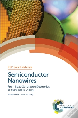 Capa do artigo Semiconductor Nanowires