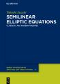 Semilinear Elliptic Equations - Preview
