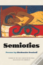 Capa do artigo Semiotics