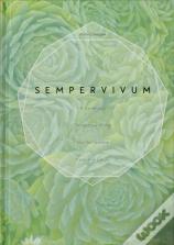 Sempervivum