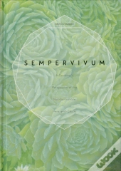 Sempervivum