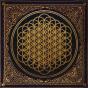 Sempiternal - Vinil - Preview