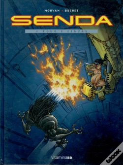 Capa do artigo Senda 1- Fogo e Cinzas